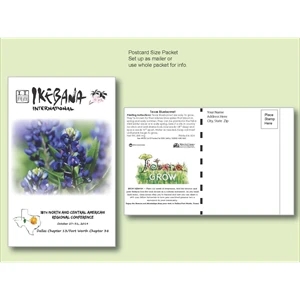 Texas Bluebonnet Seed Packet Postcard Mailer Size 4" x 6.5"