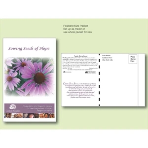 Purple Coneflower Seed Packet Postcard Mailer Size 4" x 6.5"