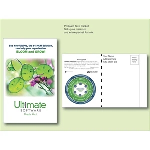 Moneyplant Seed Packet - Postcard Mailer Size 4" x 6.5"
