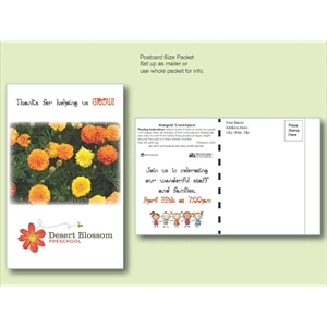 Marigold Flower Seed Packet - Postcard Mailer Size 4" x 6.5"