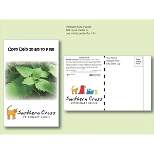 Catnip Seed Packet - Postcard Mailer Size 4" x 6.5"