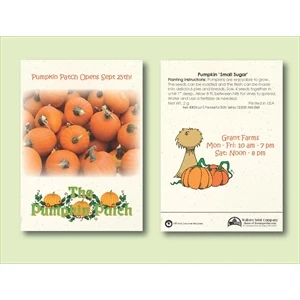 Pumpkin' Small Sugar' Seed Packet - Size 3.25" x 4.5"