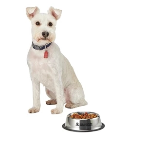 Medium Stainless Steel Pet Bowl