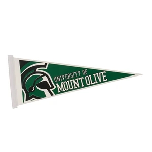 9" x 24" White Felt Pennant