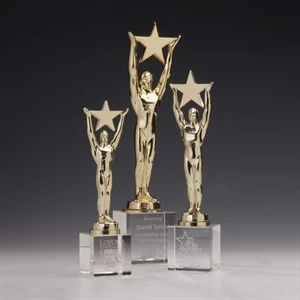 Star Achievement Award on Optical