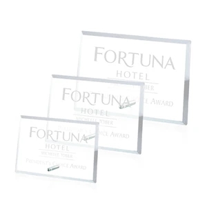 Windsor Rectangle Horizontal Award - Chrome