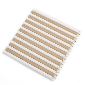 Biodegradable Paper Straws