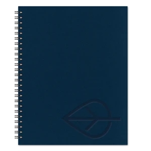 Persian Blue  6708