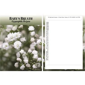 Standard Series Baby's Breath Gypsophila Seed Packet