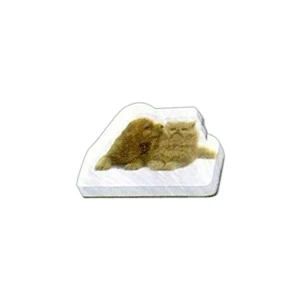Puppy And Kitten Shaped Magnet - Acrylic Die Cut Magnet, 1/8" Thick, 3 Square Inches