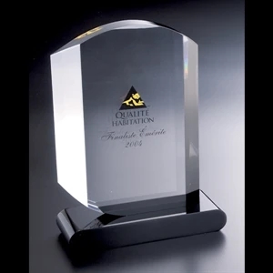 Lucite (r) - Blank Goods. Custom Embedment, 6" X 8" X 1" With Black Base Award