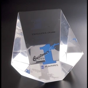 Lucite (r) - Blank Goods. Clear Custom Embedment, 6" X 5 1/2" X 4" Award