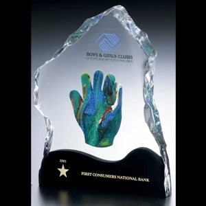 Lucite (r) - Blank Goods. Clear Block With Ice Effect Embedment Award, 7" X 8 3/4" X 1"