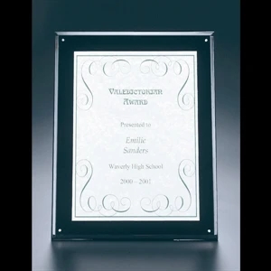 Blank. Clear Acrylic Entrapment Wall Plaque With Acrylic Backing, 10 1/2" X 13"