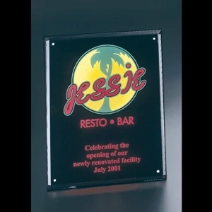 Blank. Clear Acrylic Entrapment Wall Plaque With Acrylic Backing, 8" X 10" X 1/2"
