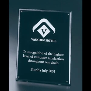 Blank. Clear Acrylic Entrapment Wall Plaque With Acrylic Backing, 9" X 12" X 1/2"