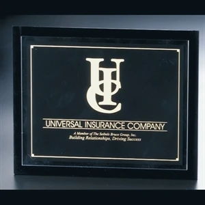 Blank Goods. Black Acrylic Entrapment Wall Plaque With Clear Front, 10" X 8" X 1/4"