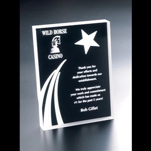 Twilight - Blank Goods. Clear Acrylic Portrait Award With Sandblasted Shooting Star Design