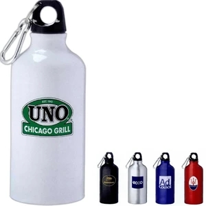 Lil Shorty - Aluminum Sports Bottle With Twist On Lid. Silver 5mm Carabiner