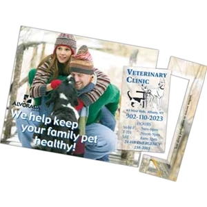 Smartline (tm) - Magnetic Four Color Process Business Card/perforated Post Card, 5" X 7 1/2"