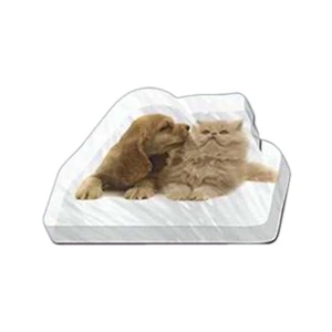 Puppy And Kitten Shaped Magnet - Acrylic Die Cut Magnet, 1/4" Thick, 11 Square Inches, Free Custom Die