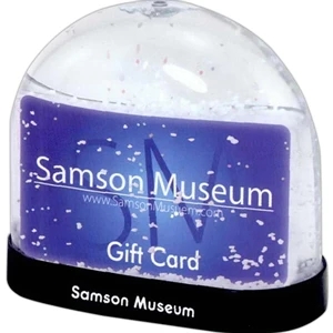 Gift Card Snow Globe