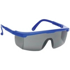 Provizgard - Gray Lens With Blue Frame - Large Single-lens Safety Glasses With Polycarbonate Fame