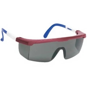 Provizgard - Gray Lens With Red-white-blue Frame - Large Single-lens Safety Glasses With Polycarbonate Fame