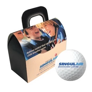 Yourbrandgolf (r) - Two Ball Doctors Bag Golf Ball Box Great For Asthma, Runny Nose, Medical