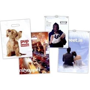 15" X 18" - Full Color, Low Minimum Two Side Plastic Patch Handle Bag With 4" Gusset