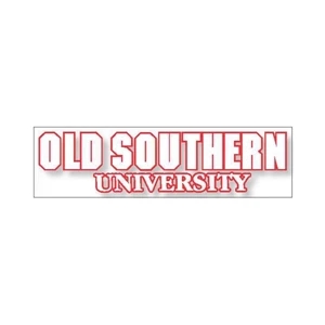 9 1/4" X 2 1/2" Clear Polyester Bumper Sticker With Permanent Back Adhesive