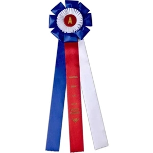 Custom Rosette Ribbon With A 8" Diameter Head And Three 2 1/2" X 24" Streamers, 28"