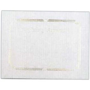 Appreciation - Blank Stock Gold Foil Embossed Certificate With Border, 8 1/2" X 11"