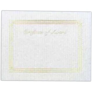 Award - Blank Stock Gold Foil Embossed Certificate With Border, 8 1/2" X 11"