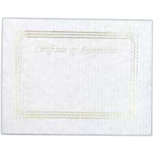 Recognition - Blank Stock Gold Foil Embossed Certificate With Border, 8 1/2" X 11"