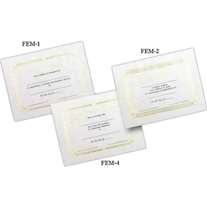 Award - Stock Certificate With Foil Embossed Border And Heading, 8 1/2" X 11