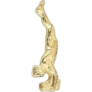 Male Gym - Stock Design Award Pin With Clutch Back Attachment For Secure Mounting
