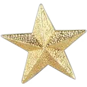 Star - Stock Design Award Pin With Clutch Back Attachment For Secure Mounting