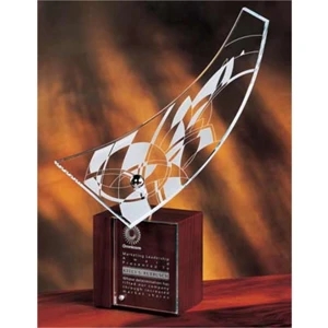 Mind Door Frank Lloyd Wright (r) - Small - This Award Represents A Window To Ideas And Opportunities