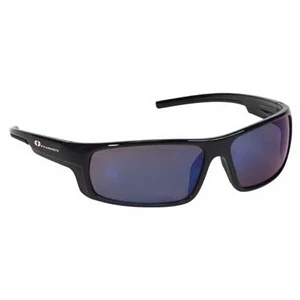 Provizgard - Contemporary Style Safety Glasses With Blue Mirror Lens And Black Frame