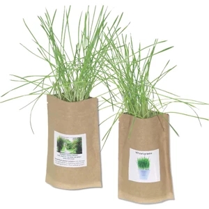 Sprout Tyme - 2 Oz - Sprout Pouch, Everything You Need To Grow Your Own Mini Garden