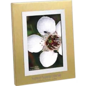 Corona - Brushed Gold/silvertone Aluminum Frame, Holds 3 1/2" X 5" Photo
