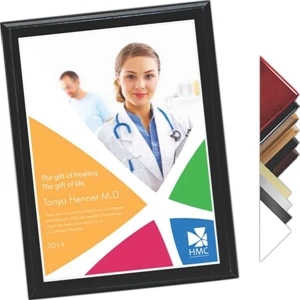 7" X 9" - Plaque Award - Choice Of Digi-color Plate & Board Finish. Affordable Plaques