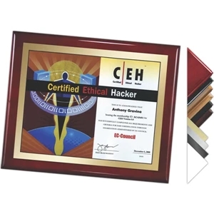 9" X 12" - Plaque Award. Choice Of Digi-color Plate And Board. Affordable Plaques