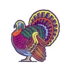 Temporary Tattoos (tm) - Stock, Non Toxic, Hypoallergenic 2" X 2" Turkey Tattoo, Fda Certified