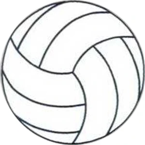 Temporary Tattoos (tm) - Stock, Non Toxic, Hypoallergenic 2" X 2" Volleyball Tattoo Is Fda Certified