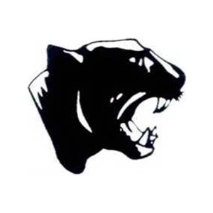 Temporary Tattoos (tm) - Stock, Non Toxic, Hypoallergenic 2" X 2" Panther Head Tattoo Is Fda Certified