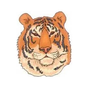 Temporary Tattoos (tm) - Stock, Non Toxic, Hypoallergenic 2" X 2" Tiger Head Tattoo Is Fda Certified