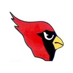 Temporary Tattoos (tm) - Stock, Non Toxic, Hypoallergenic 2" X 2" Cardinal Tattoo Is Fda Certified