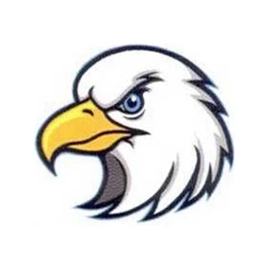 Temporary Tattoos (tm) - Stock, Non Toxic, Hypoallergenic 2" X 2" Eagle's Head Tattoo Is Fda Certified